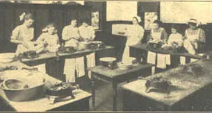 Picture Showing Domestic Training 